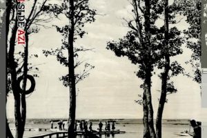 Peisaj cu lacul Siutghiol