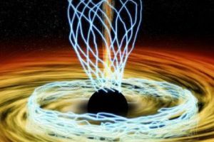 CERCETĂTORII au DESCOPERIT marele SECRET al lumii animalelor. „Al ȘASELEA SIMȚ” care CONFERĂ O PUTERE NEBĂNUITĂ. Misterul ochilor MAGNETICI