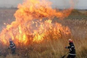 Incendiu de vegetaţie uscată la Sîncel, lângă Blaj