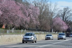 Prognoza ANM: Temperaturi mai ridicate decât normalul perioadei. Din 15 aprilie se va răci şi va ploua aproape zilnic