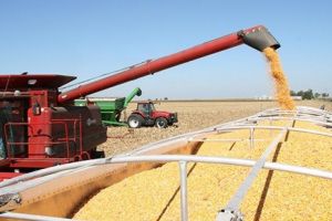 Țările din UE în care România a importat şi exportat cele mai mari cantităţi de mărfuri