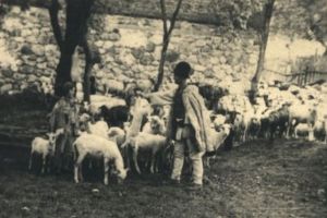 Primul congres al oierilor s-a ţinut la Sibiu. Ce probleme s-au discutat acum 83 de ani