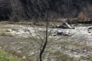 Râurile de aur ale Argeşului