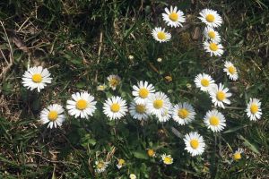 Cum va fi vremea în următoarele două săptămâni