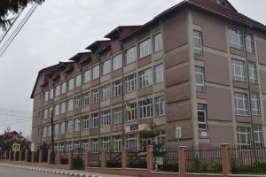 Elev al Liceului ”HCC” Abrud, premiul II la Olimpiada Naţională de Limba şi Literatura Rromani