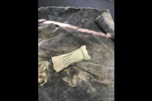 Un topor din bronz, cu o vechime de 3500 ani, gasit in Baicoi