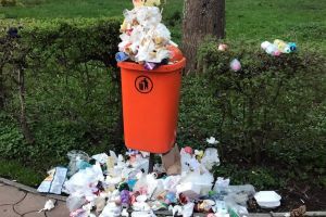 Staţiunea gunoaielor: În Băile Felix, mizeriile dau pe-afară (FOTO)