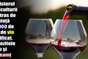 Ministerul Agriculturii a retras de pe piaţă 30.000 de litri de vin falsificat. Depozitele erau şi în Neamţ