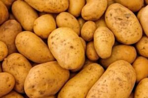 CARTOFI din Egipt INFECTAȚI cu o BACTERIE PERICULOASĂ, opriţi de la import în portul Constanţa 