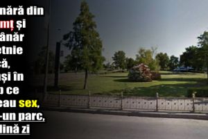 O tânără din Neamţ şi un tânăr de etnie turcă, prinşi în timpul unei partide amoroase, într-un parc, în plină zi