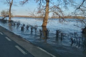 Deşi Dunărea este în scădere, autorităţile rămân în alertă