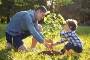 MOL România finanţează 49 de proiecte de mediu  în cadrul celei de-a 13-a ediţii a Programului Spaţii Verzi