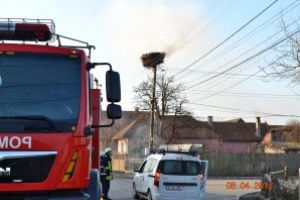 Profesionişti, la datorie atunci când toată lumea sărbătoreşte