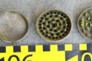 FOTO: Canabis descoperit la controlul de frontiera