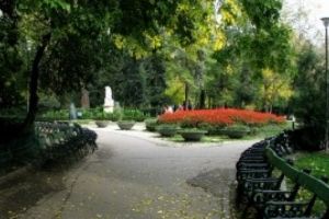 FOTO - Șarpe URIAȘ fotografiat în Parcul Cişmigiu, din Capitală