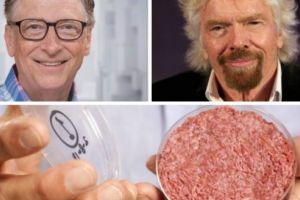Memphis Meats: Tehnologia de producere a cărnii în care investesc miliardarii lumii!