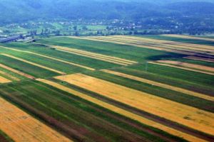 Iar am avut dreptate! SE SPARIE GÂNDUL!… PORCĂRIILE DE LA APIA  CĂLĂRAȘI – DEMONTATE! TOT DE DNA!…