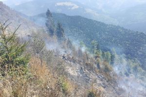 Incendii de vegetaţie uscată la Ilva Mare şi Năsăud. Focul se poate extinde la pădure