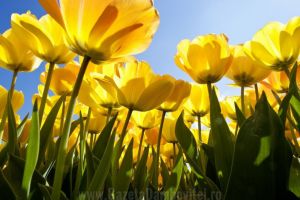 Vreme neobişnuit de căldă pentru această perioadă