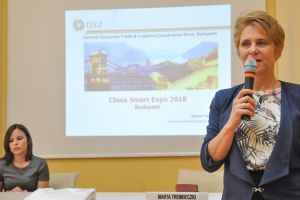 Relatiile economice cu China, promovate la Timisoara