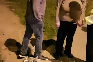 Au vrut sa ia acasa panselutele de la Michelangelo