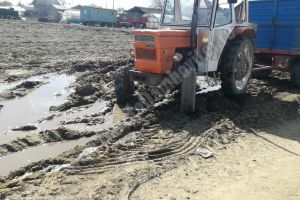 Cartofi de Lunguleţu, abia în iunie! Vremea a întârziat cu trei săptămâni cultura din acest an