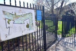 Ne enervează: Distrugerile din parcul dendrologic al Cetăţii Oradea (FOTO)