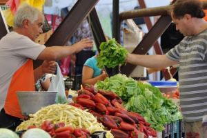 Fermierii pot obţine atestate de producător provizorii