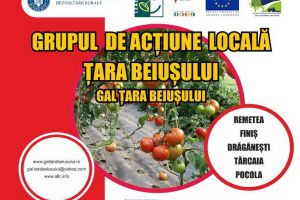 GAL Țara Beiuşului anunţă lansarea de cerere de proiecte LEADER pentru investiţii în infrastructura rurală