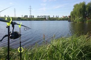 S-a deschis sezonul de pescuit. Tarifele pentru o zi pe balta la Balotesti sau Tancabesti