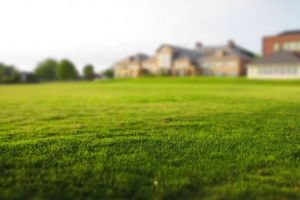 Terenurile din Timisoara, preturi in crestere. Cine cumpara?