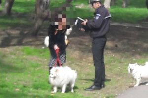 Amenzi pentru constantenii care nu strang mizeria dupa animalele de companie. Ce alte nereguli au constatat politistii locali din Constanta (galerie foto)