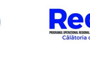 ”Diversificarea producţiei prin achiziţia de active corporale şi necorporale în scopul creşterii productivităţii muncii la PRODIMA SRL Bistriţa”