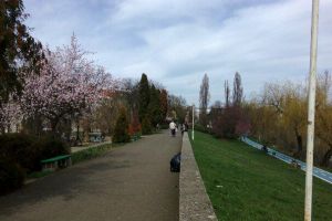 Îţi place să stai la aer curat şi să faci mişcare? Îmbină utilul cu plăcutul şi PARTICIPĂ la acest eveniment CARITABIL pentru ANDREI