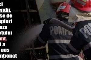 Cinci incendii, stinse de pompieri pe raza judeţului Neamţ. Unul a fost pus intenţionat