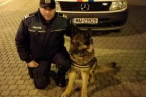 Cernesti: Bijuterii furate dintr-o locuinta, gasite cu ajutorul cainelui Ryky