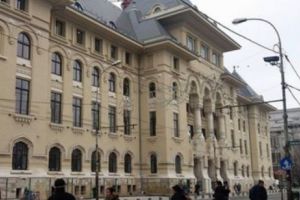Primăria Capitalei vrea să interzică vânzarea câinilor şi pisicilor care nu au pedigree. Contravenienţii riscă amenzi usturătoare