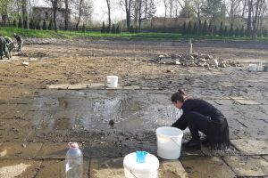 FOTO. Peştişorii din Grădina Romei au fost salvaţi! Felicitări pentru iniţiativă