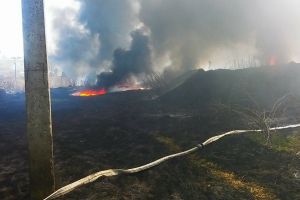 Pompierii au intervenit la primele incendii de vegetaţie