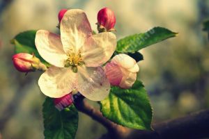 Zi de vineri, deosebit de caldă! Izolat sunt posibile averse şi descărcări electrice