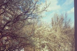 PROGNOZA METEO pentru URMĂTOARELE ZILE. Vreme frumoasă în weekend, temperaturi până la 28 de grade