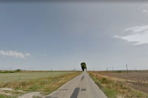 Traseul DJ 226A Cetatea Histria - DN 22 Tariverde va fi reabilitat. CJC a solicitat acord de mediu. Date din proiect (document) 