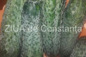 Castravetele combate aciditatea gastrica