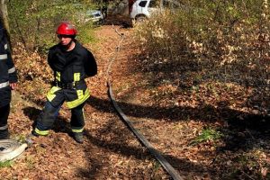 Incendiu de vegetaţie în Răcădău (Foto)