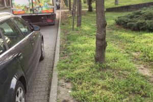 Acces BLOCAT pe faleza Mureşului (FOTO)! Cum poate administraţia locală să rezolve această problemă
