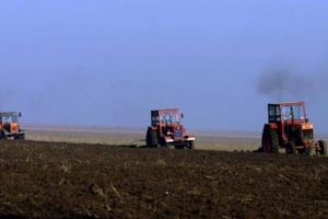 15 mai – termenul limită de depunere a Cererilor Unice de Plată