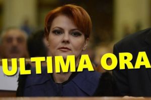 Lia Olguţa Vasilescu, despre contestatarii legii salarizării: 