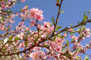 METEO: Cum va fi vremea în acest weekend