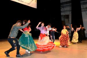 FOTO&VIDEO. Ziua Romilor la Satu Mare: “Cea mai deşteaptă minoritate”