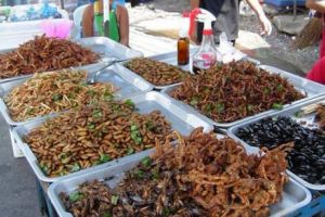 Primul SEMN că vine CRIZĂ ALIMENTARĂ mondială